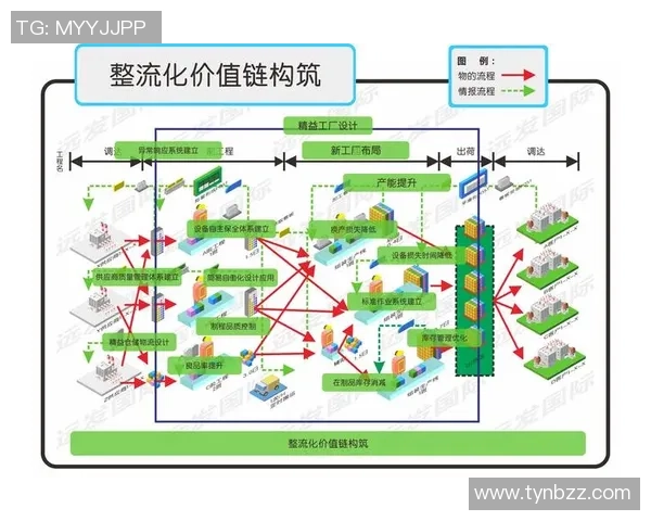 探索上海篮球队运营体系中的战术创新与团队协作模式